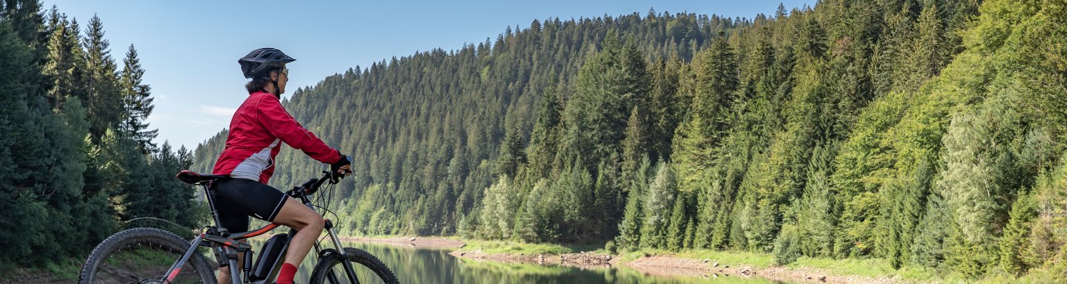 mountain biking in the black forest