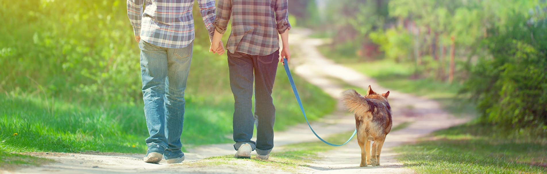 Young couple walking with their dog Young couple walking with their dog